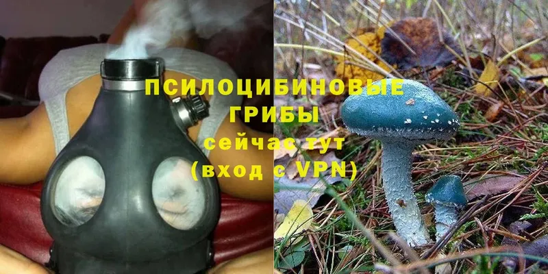 Галлюциногенные грибы MAGIC MUSHROOMS  Донской 